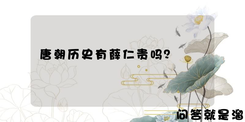 唐朝历史有薛仁贵吗？